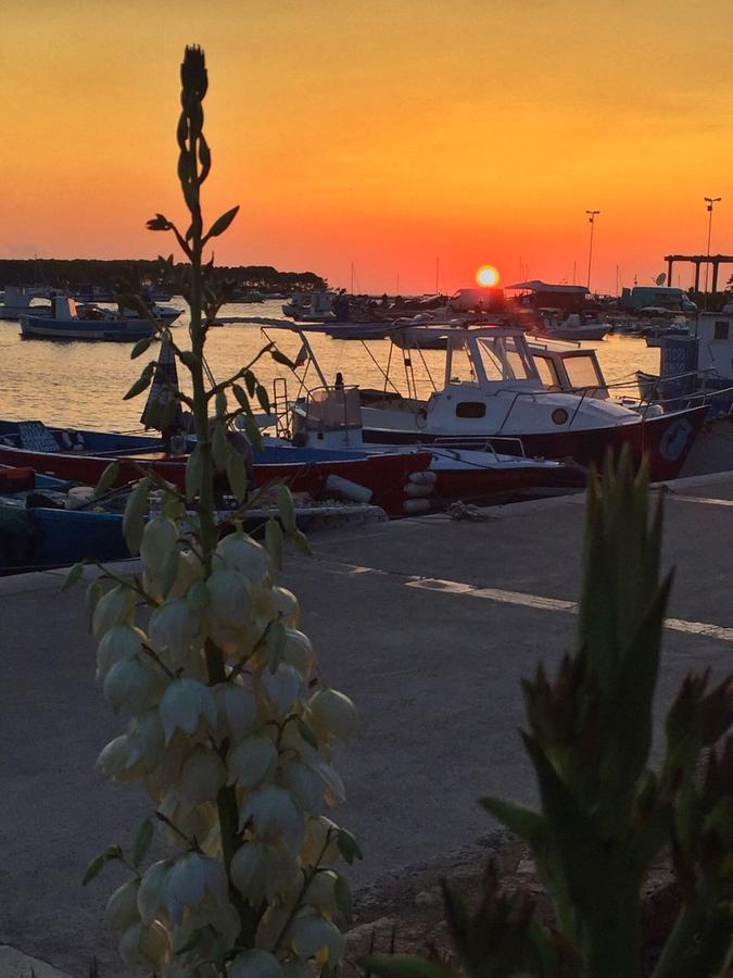 La Casa Di Ada E Gigi Vacanze Porto Cesareo Ngoại thất bức ảnh